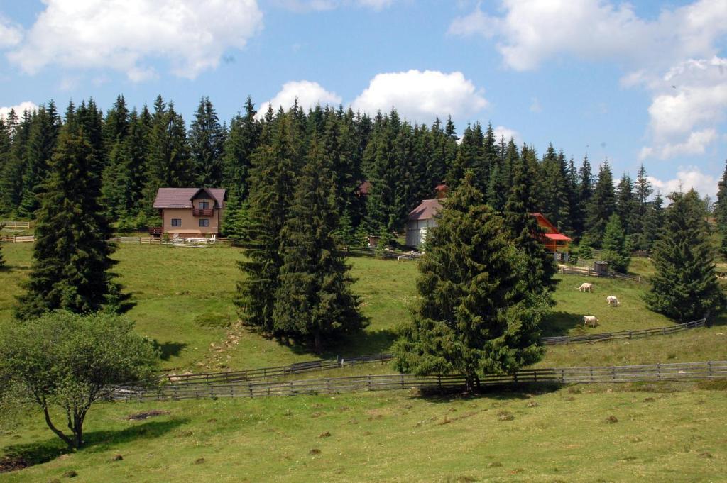 Cabana Motilor Mărişel Δωμάτιο φωτογραφία